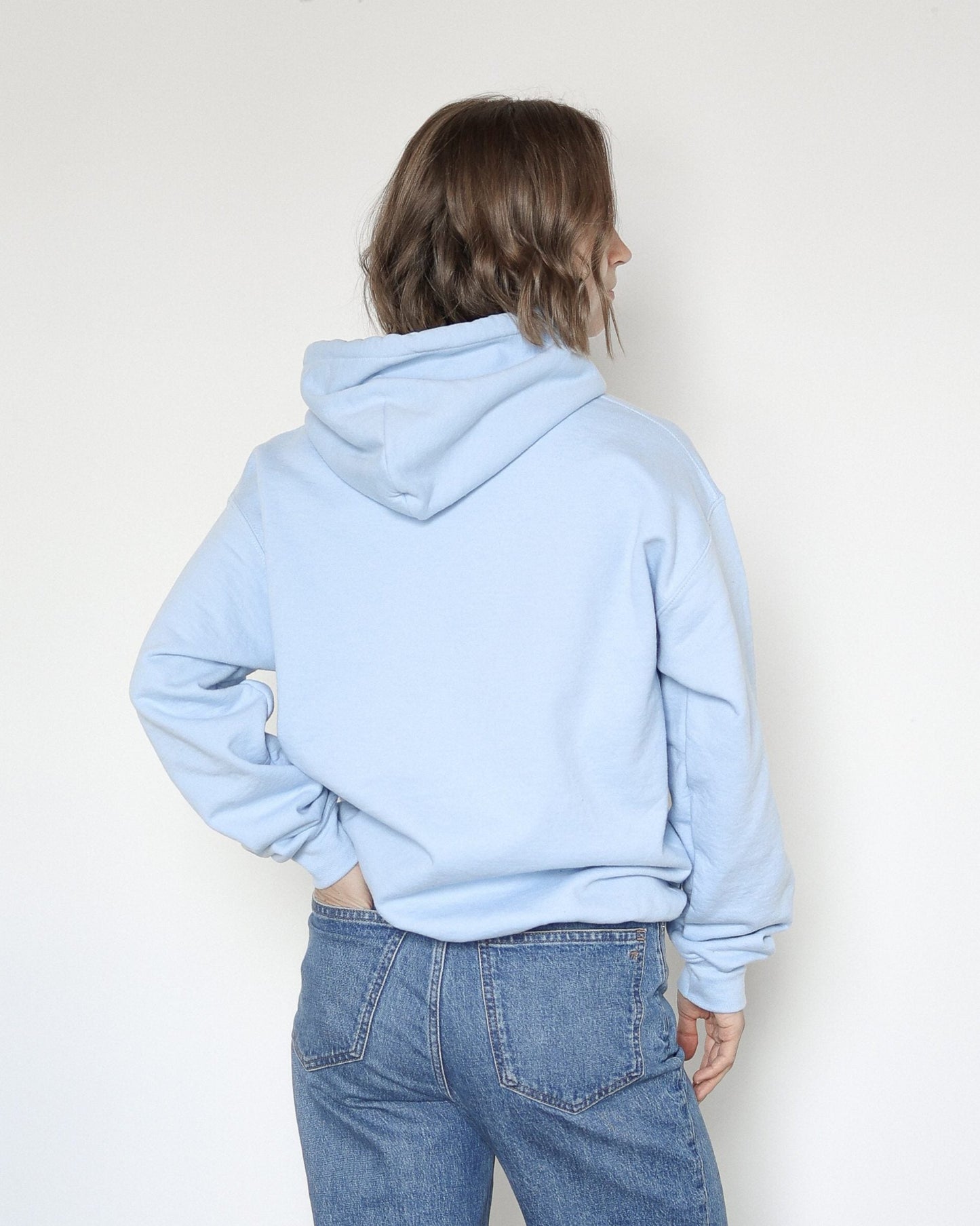 Everygirl Embroidered Baby Blue Vintage Hoodie